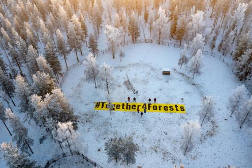 #Together4Forests Action in Sweden