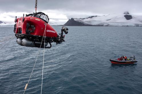 Unterwasser-Tauchgang in der Antarktis