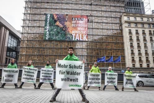 Live-Ticker auf der Fassade des EU-Ratssitzes in Brüssel zeigt Waldzerstörung in Echtzeit