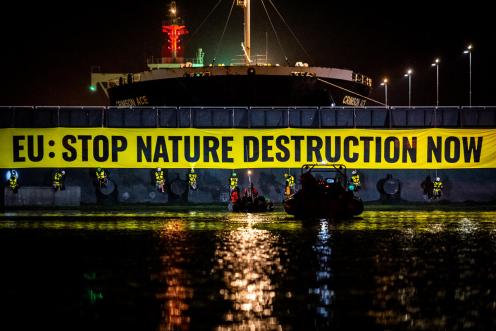 Activists Block Soy Ship in IJmuiden Lock