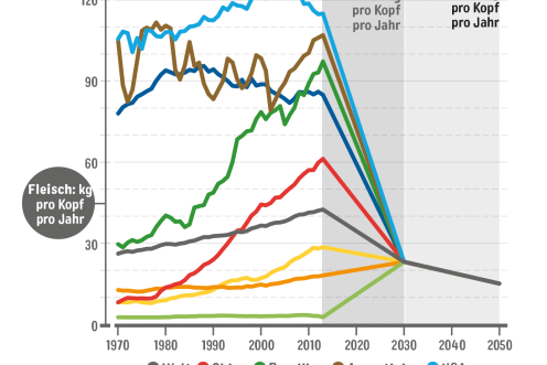 Grafik: durchschnittlicher Fleischkonsum pro Person von 1980 bis 2013 weltweit und in verschiedenen Ländern
