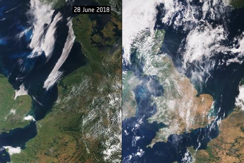 Farbliche Veränderung in Teilen Europas durch die Hitze innerhalb eines Monats (fotografiert aus dem Weltall).