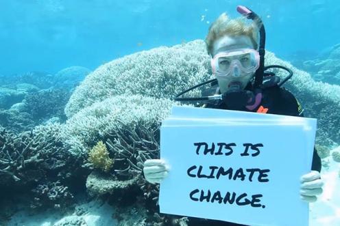 Korallenbleiche am Great Barrier Reef. Eine Taucherin hält ein Schild "This ist climate change".