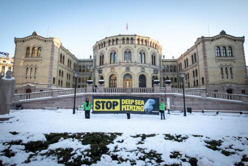 International activists and environmental organisations gathered outside the Norwegian Parliament