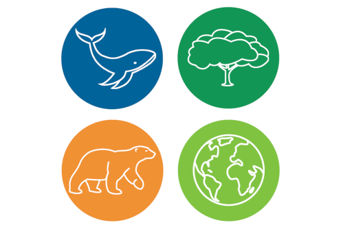 Icons der Meeres-Patenschaft, Wald-Patenschaft, Klima-Patenschaft und Global-Patenschaft bei Greenpeace