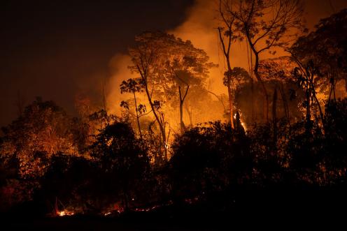 Brennender Regenwald in Brasilien
