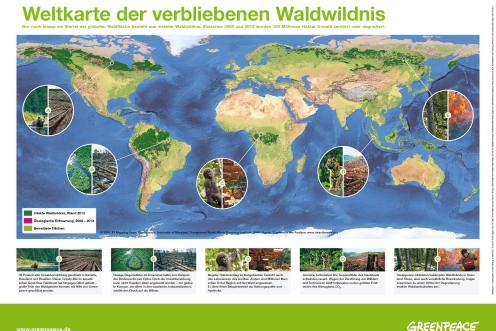 Weltkarte der verbliebenen Waldwildnis
