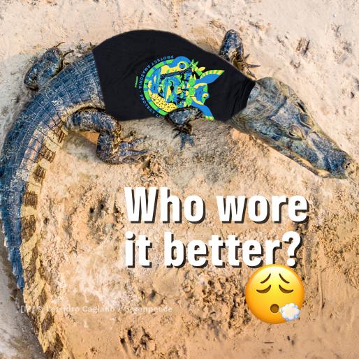 Zu sehen ist ein Krokodil im Amazonas-Shirt. Unter dem Tier steht die Aufschrift "Who wore it better?"