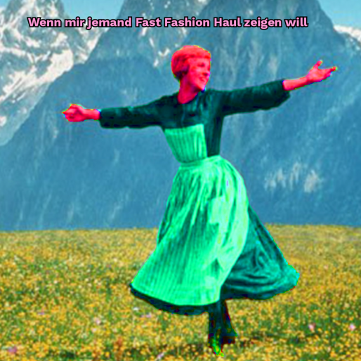 Meme Fast Fashion Petition