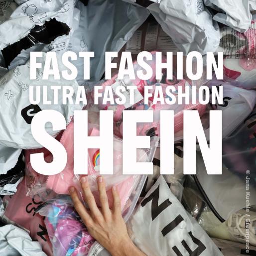 Fast Fashion – Shein