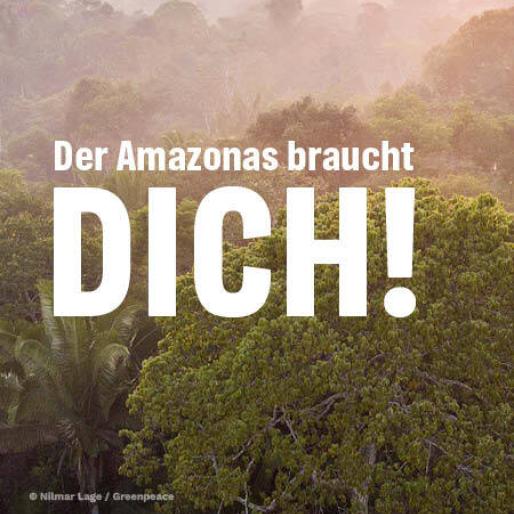 Der Amazonas braucht dich auf einem bild vom amazonas