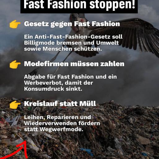 Fast Fashion stoppen!