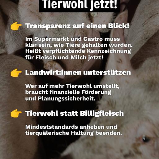 Tierwohl jetzt!