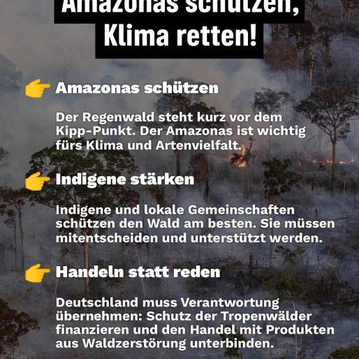 Amazonas schützen, Klima retten!