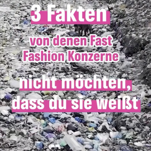 3 Fakten von denen Fast Fashion Konzerne nicht möchte, dass du sie weißt