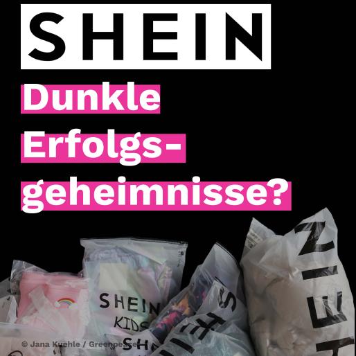 Shein - dunkle Erfolgsgeheimnisse