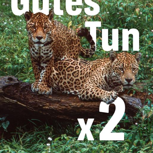 Zwei Jaguare im Amazonas Regenwald, darauf die Aufschrift "Gutes Tun x 2"