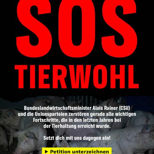 Petition SOS Tierwohl: Jetzt unterzeichnen!