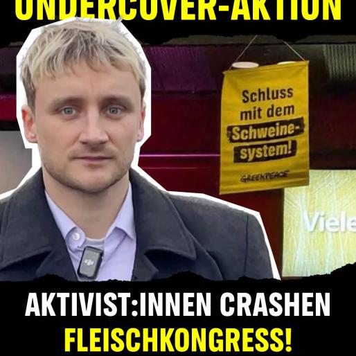 Undercover-Aktion Fleischkongress
