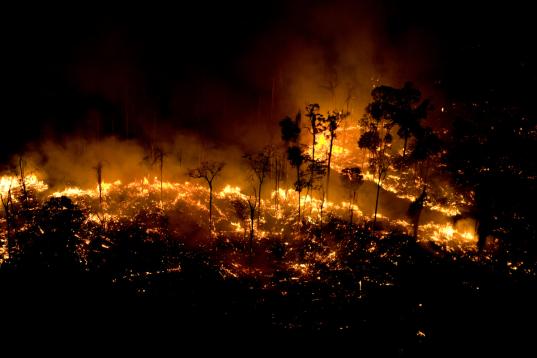 Forest Burning in the Amazon
