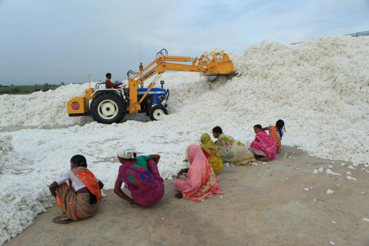 Cotton Factory in India