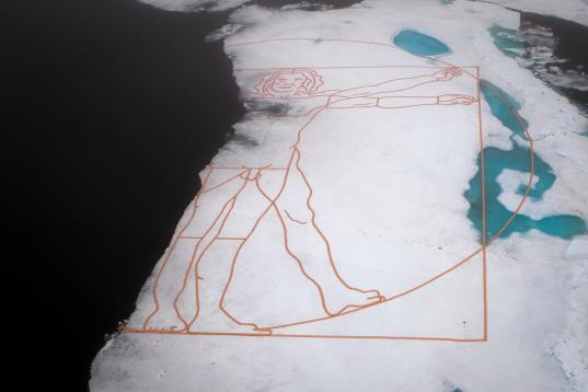 Da Vinci's Vitruvian Man on Arctic Sea Ice