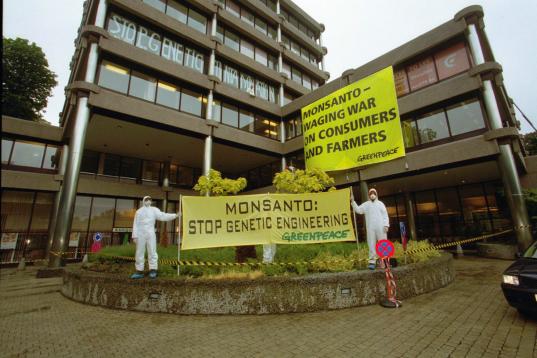GE Action Monsanto European/African HQ in Belgium