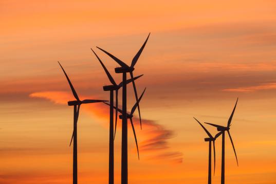 Windräder vor Morgenrot