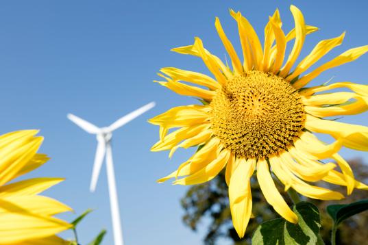 Sun Flower and Wind Energy in Germany