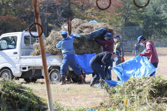 Arbeiter beim Dekontaminieren der Strahlung auf einem Schulhof in Namie, Fukushima