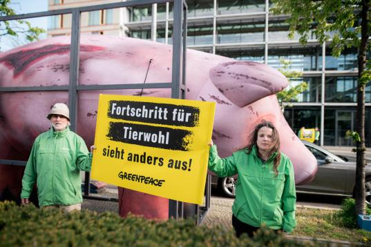 Aktivist:innen mit einem aufblasbaren Schwein im Kastenstand