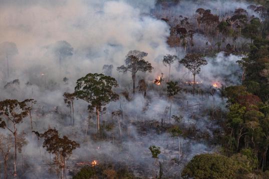 Fire Monitoring in the Amazon in Brazil