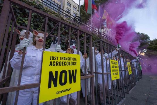 Aktivist:innen in großen Käfigen, verkleidet als Schweine und Kühe