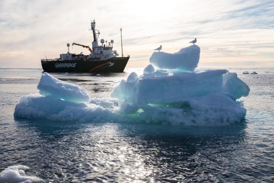 Elfenbeinmöwen versammeln sich auf einer kleinen Eisscholle an der Meereiskante, im Hintergrund ist der arktische Sonnenaufgang zu sehen.