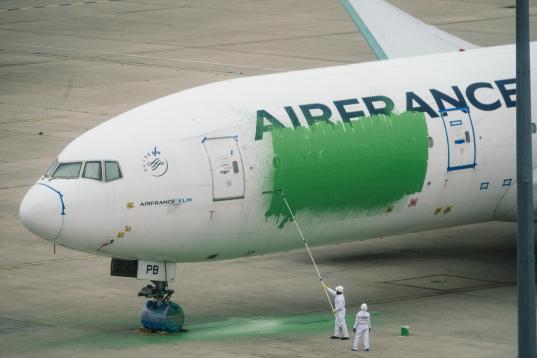 Activists Paint a Plane Green in Action against Greenwashing in Paris Airport