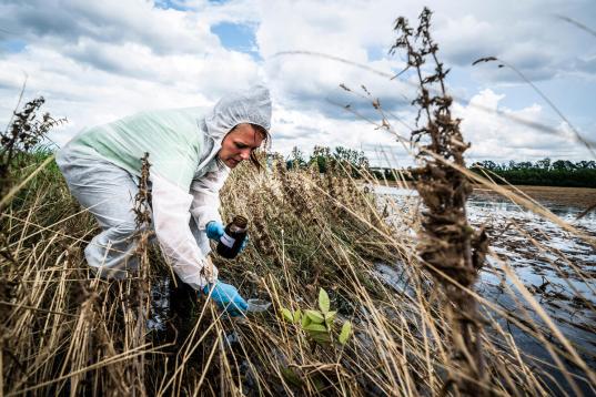 Greenpeace untersucht Böden und Wasser in deutschen Hochwassergebieten