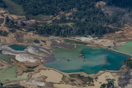Illegaler Goldabbau im Regenwald in Brasilien