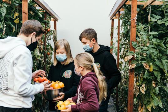 Zum Auftakt einer Reihe von Klimaaktionstagen in Baden-Württemberg veranstaltet das Windeck-Gymnasium in Bühl einen Klimaaktionstag für alle Schüler:innen der Schule. Auch Greenpeace trägt mit mehreren Workshops zum vielfältigen Programm des Aktionstages bei. 