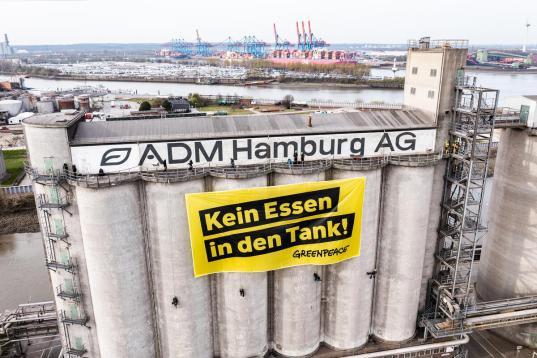 Protest in Hamburg Against Food as Biofuel - Aerials