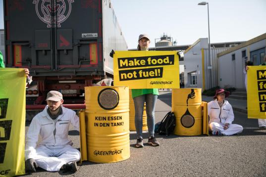 Greenpeace Aktivist:innen protestieren gegen Biokraftstoff am Eingang der Ethanolanlage von Crop Energies in Zeitz. Ihre Forderung "Kein Essen in den Tank" steht auf englisch auf einem Banner.