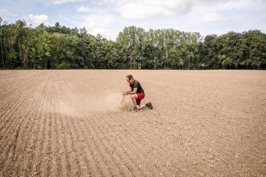 Drought on the Farm of Plaintiff Ulf Allhoff-Cramer in Germany