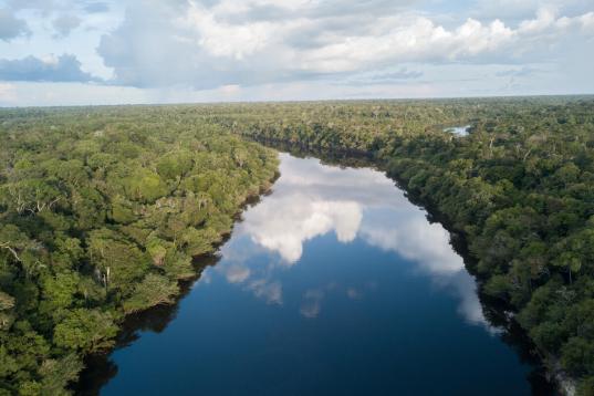 Manicoré-Fluss im Amazonasregenwald, Luftbild