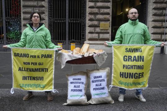Aktive stehen mit aus Futterweizen gebackenem Brot vor dem italienischen Landwirtschaftsministerium in Rom.