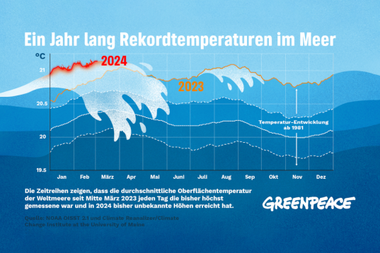 Diese Grafik zeigt die Erhöhung der Temperatur in den Meeren im Laufe der  Zeit.