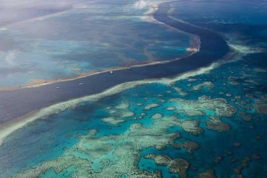 Plastik im Meer - auch am Great Barrier Reef