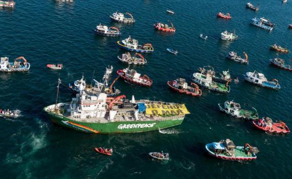 Flotte um die Arctic Sunrise fordert Meeresschutz