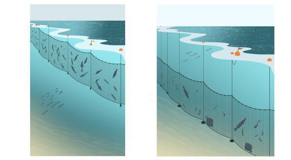 Grafik:Fischerei mit Stellnetzen und Grundstellnetzen