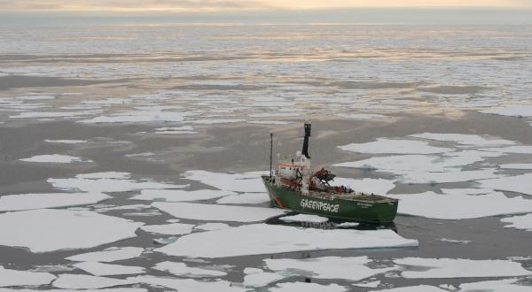 Die Arctic Sunrise auf Expedition in der Arktis