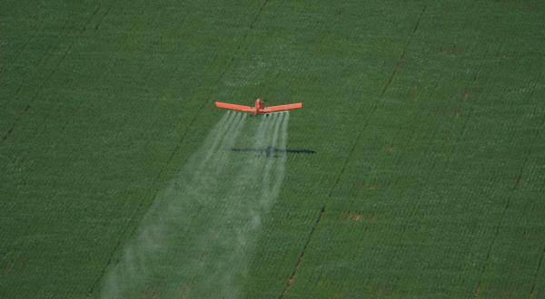 Flugzeug sprüht Pestizide auf ein Sojafeld im Amazonas. Große Flächen in der Amazonas-Region werden für den Sojaanbau illegal abgeholzt.2006