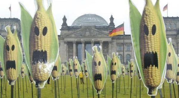gmo corn Reichstag